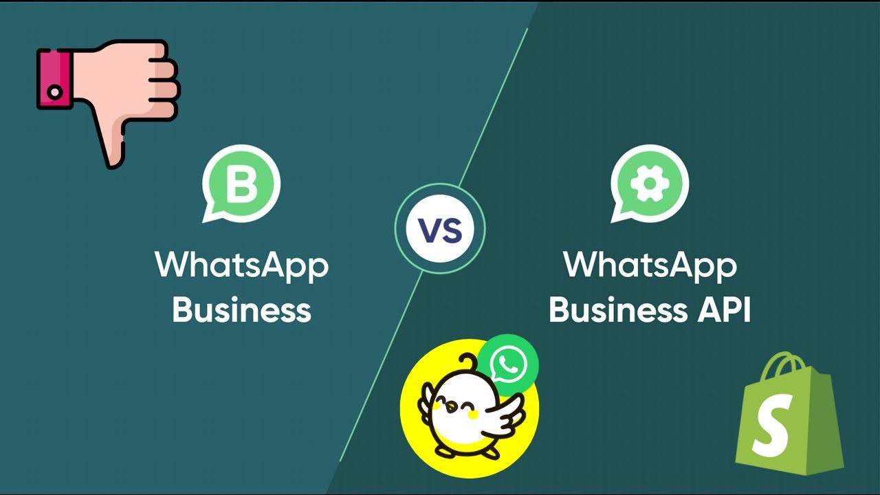 Comparaison Whatsapp Business vs Whatsapp API (pour Shopify)