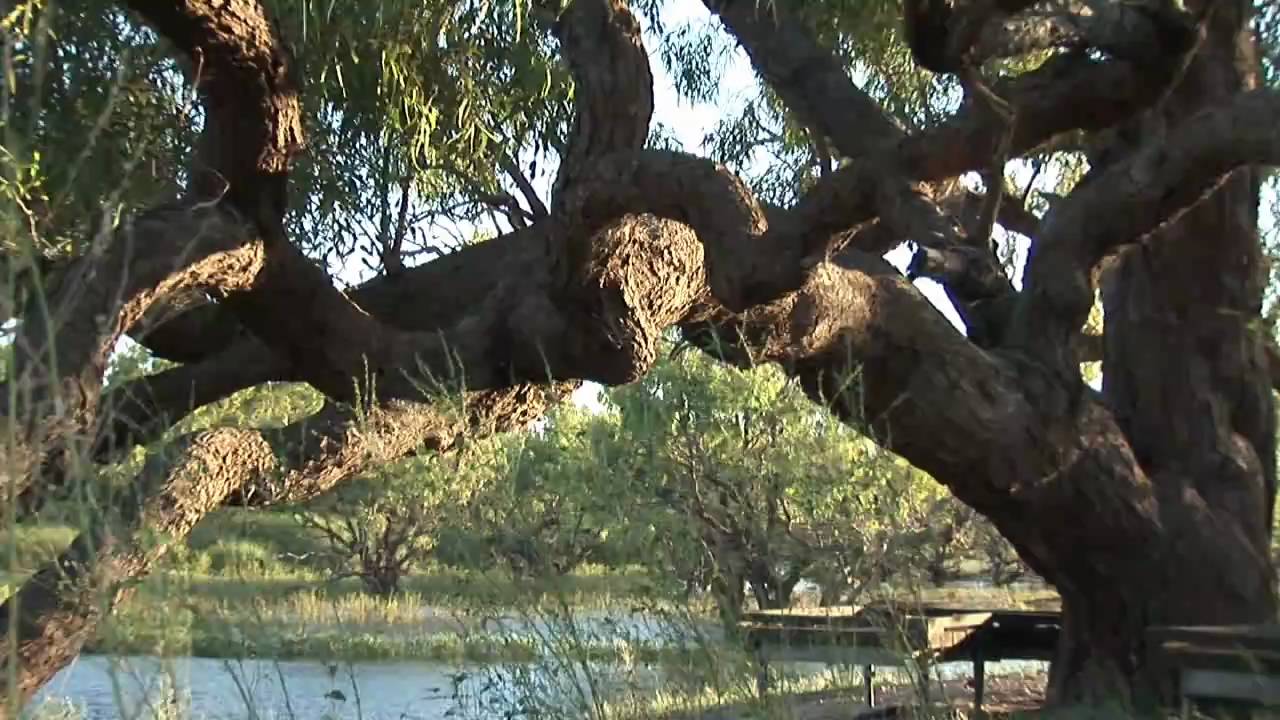 Cooper Creek flows its full length - DCQ News Update December 2010