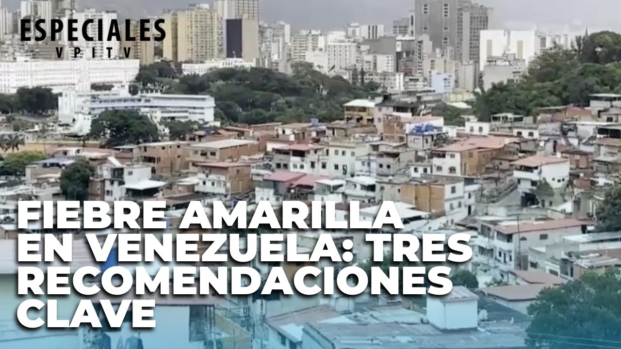 Fiebre amarilla en Venezuela: Tres recomendaciones clave - Especial VPItv