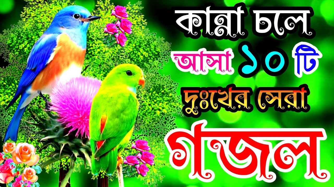 দুঃখের সেরা কান্না চলে আসা ১০টি গজল |বাংলা বাছাইকৃত গজল |Selected Gajal |Bangla Islamic Song | Gojol