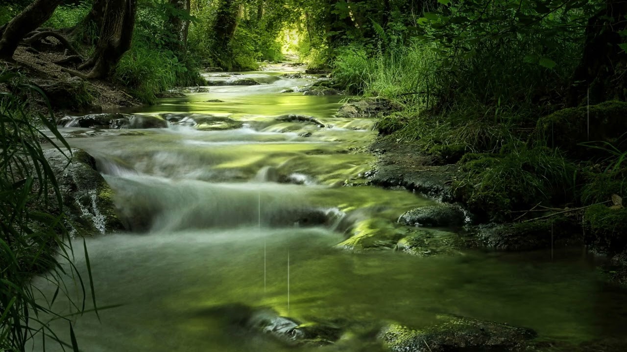 Relaxing sounds of rain and a peaceful sight of cascade stream rushing down in the forest 4k
