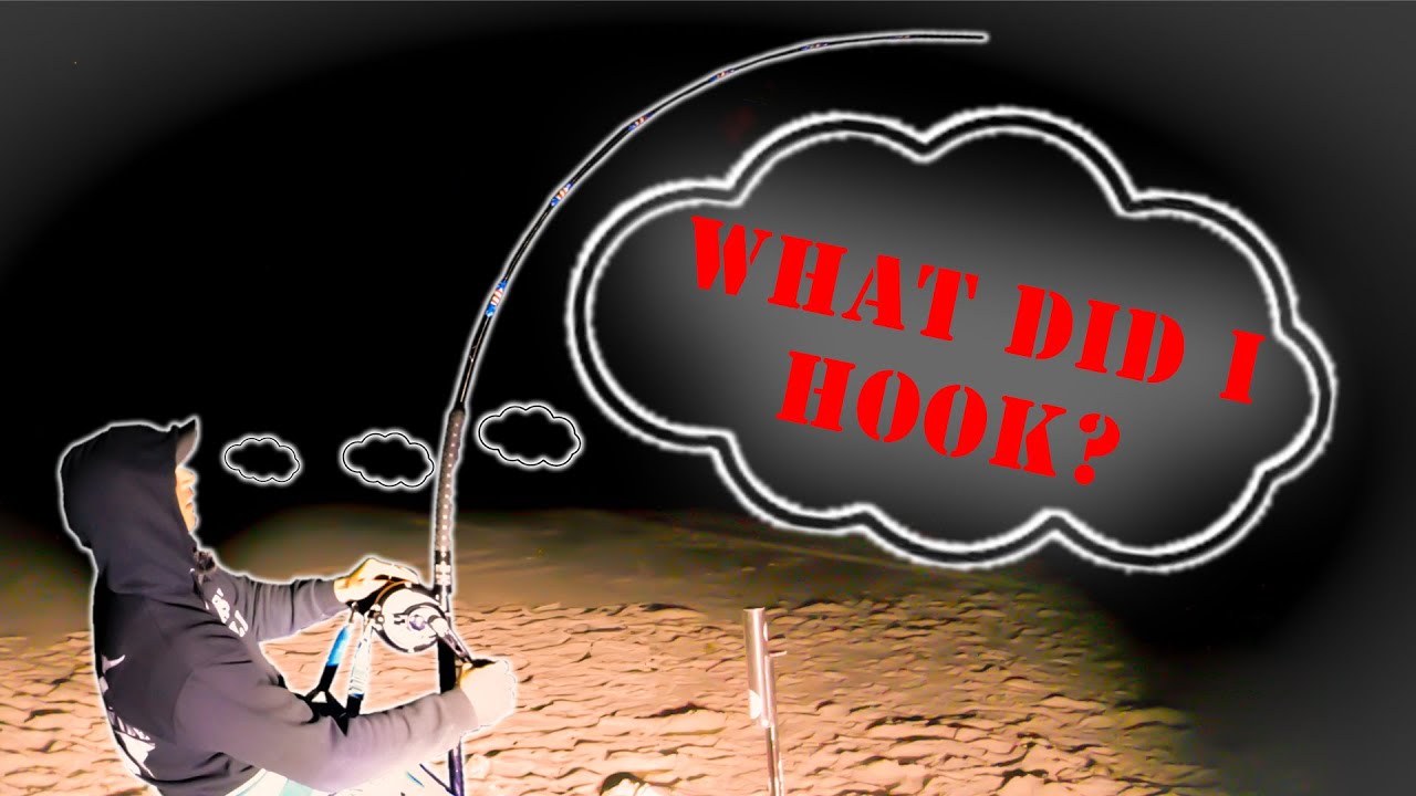 The Best Night of Shark Fishing I Have EVER Had! (Over 10 Years of Experience)