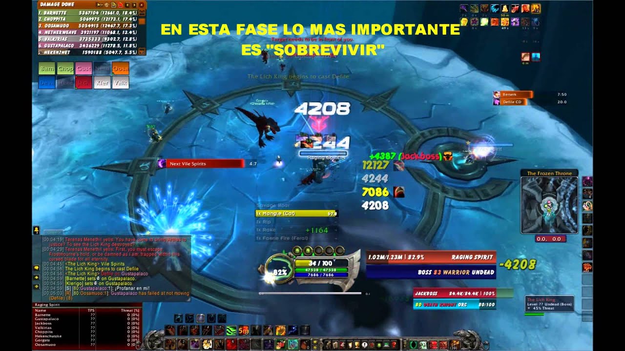 Feral Druid DPS PVE 3.3.5 - DARKRIDERS vs LK 10 HC [Bane of the Fallen King]
