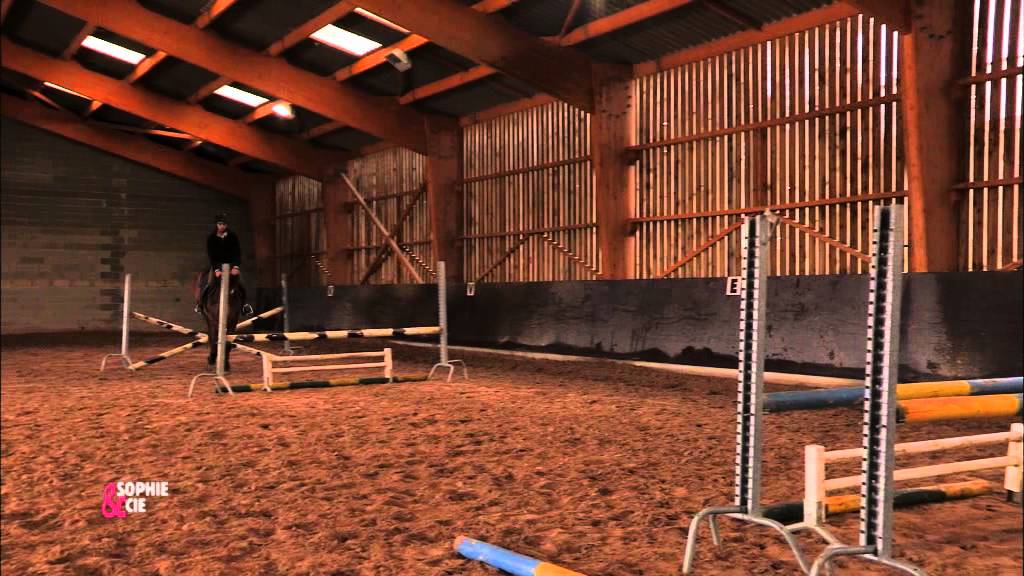 Aider votre cheval à dépasser son appréhension sur les obstacles larges