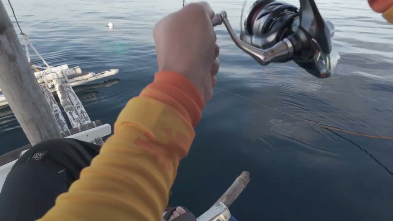 7.8 Kg Pomfret, 350 meters deep jigging on Shimano Twin Power SW