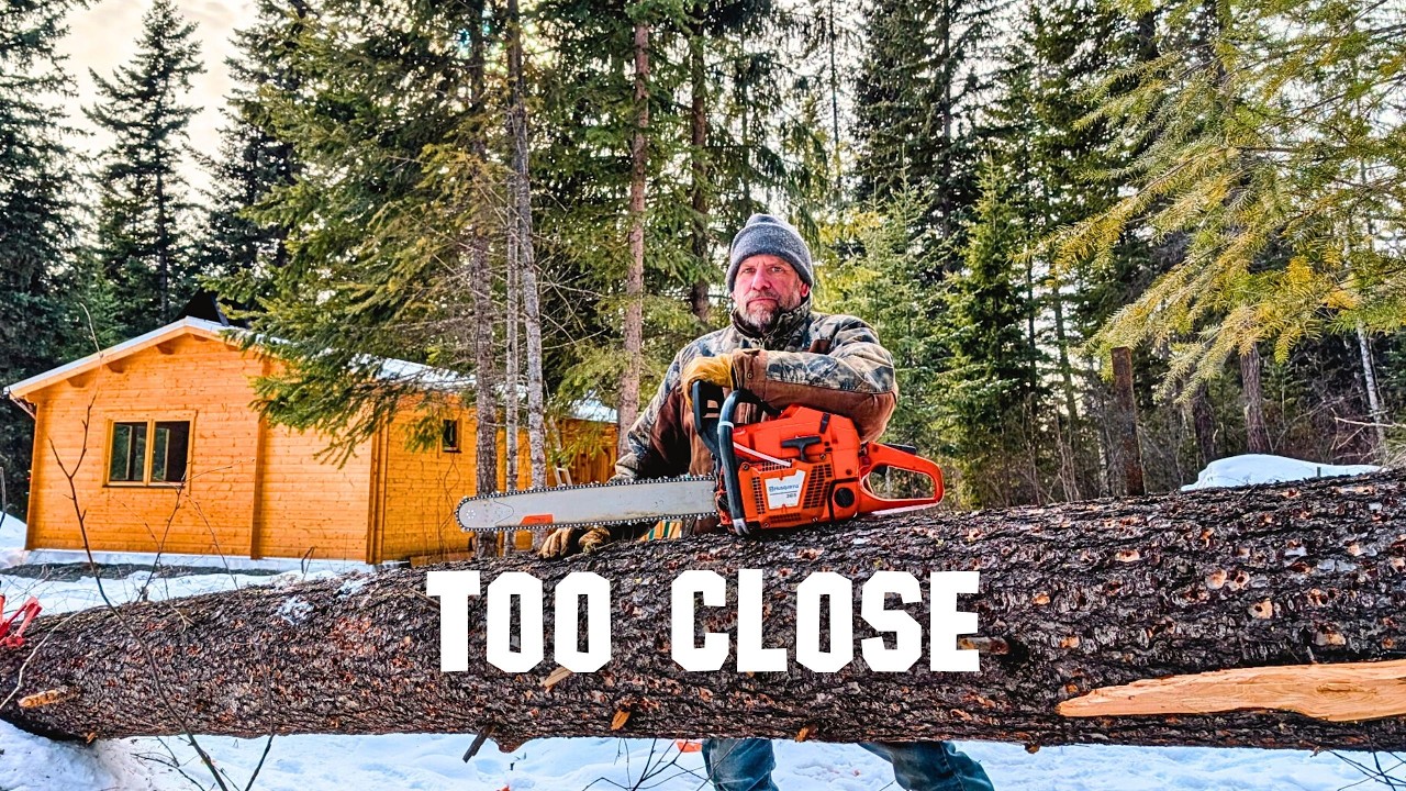 How to Cut Down a 100+ Foot Dead Tree