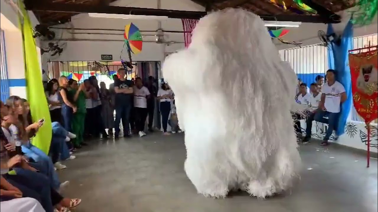 APRESENTAÇÃO DO URSO DO BAIRRO NOVO DE RIBEIRÃO - ESCOLA EM ESCADA/PE 11/02/2026