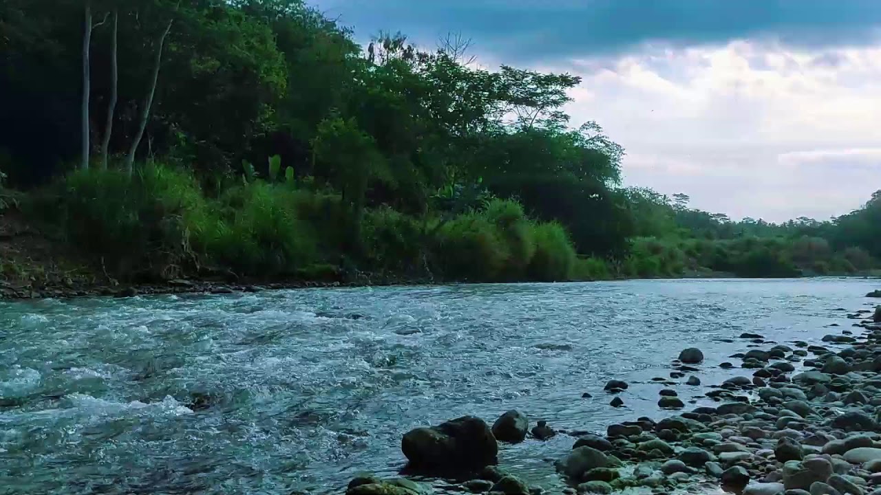 Soft Flowing River  10 Hours Relaxing Nature Sounds