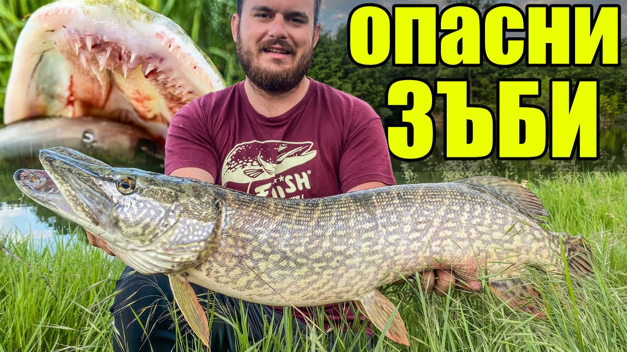 ЗАХАПА МЕ ГОЛЯМА ЩУКА!! РАЗБИВАЩ РИБОЛОВ НА СВИРЕПИ ХИЩНИЦИ