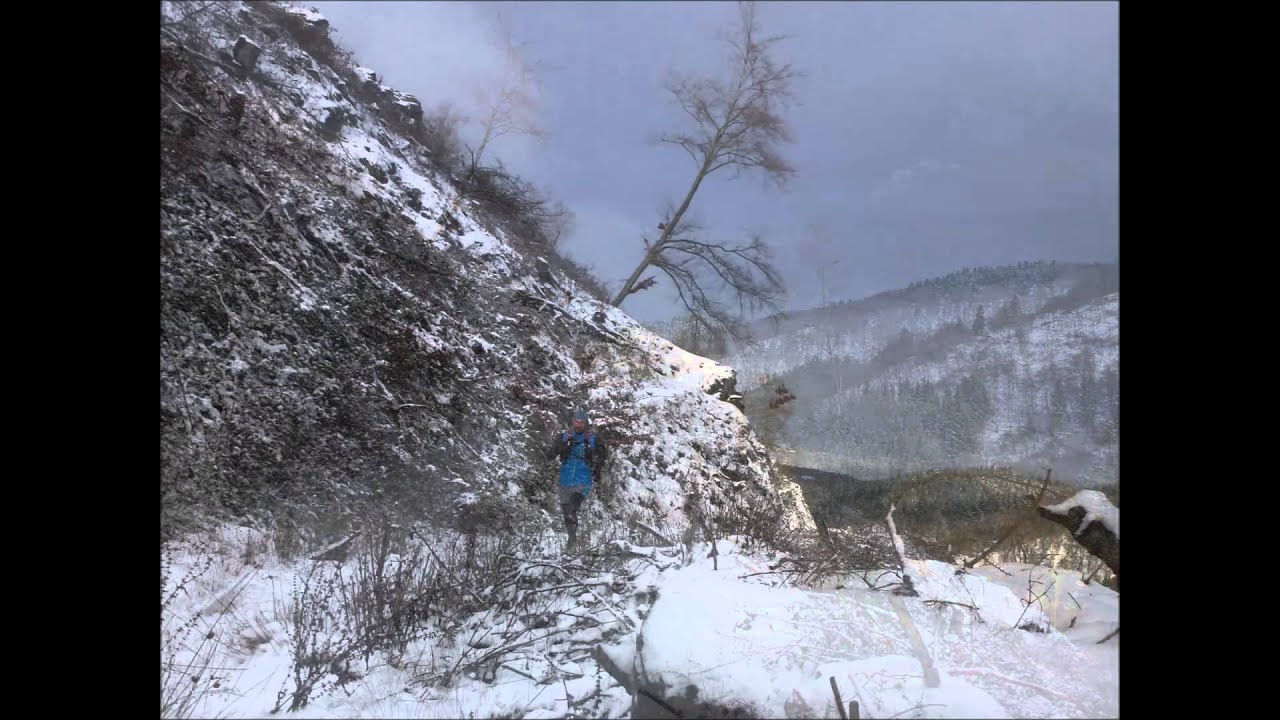 Trailrun in den Rheingauer Hinterlandswald