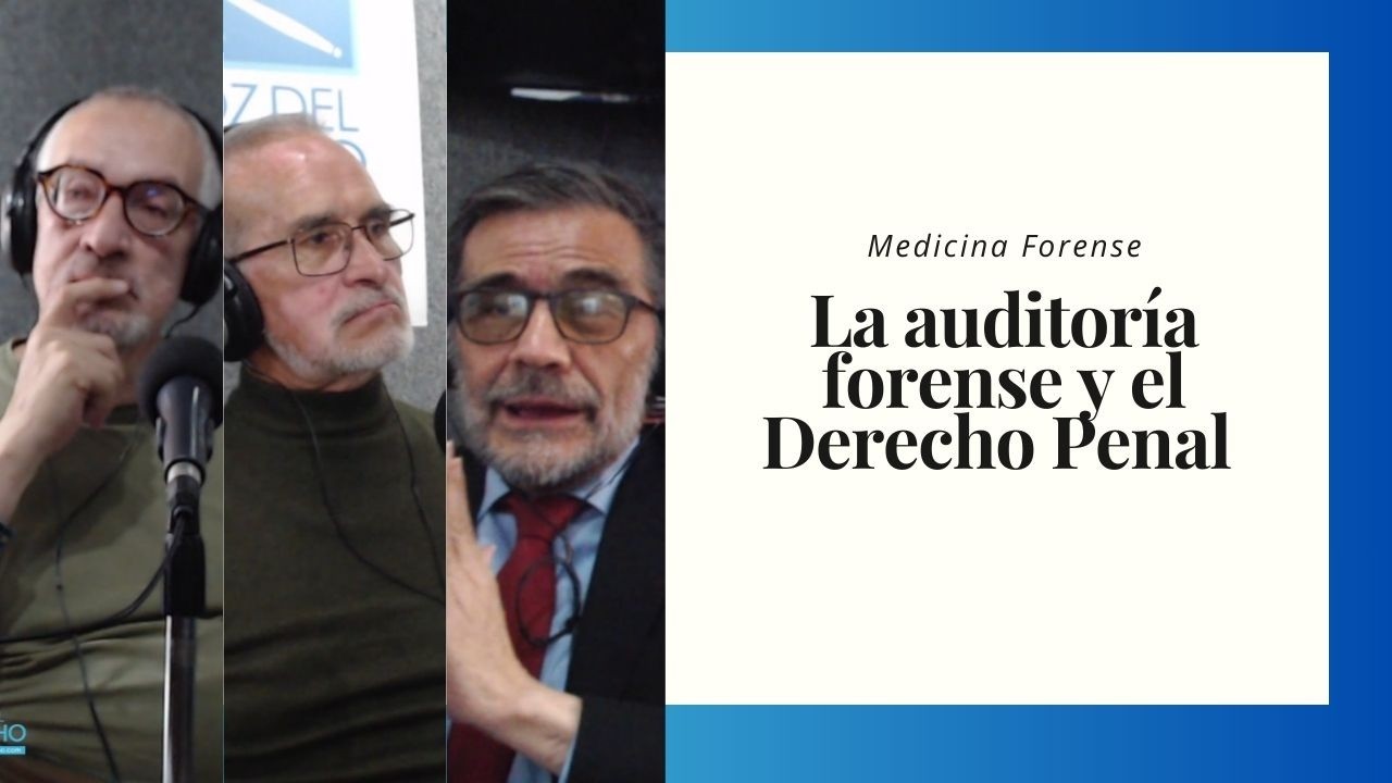 La auditoría forense y el Derecho Penal