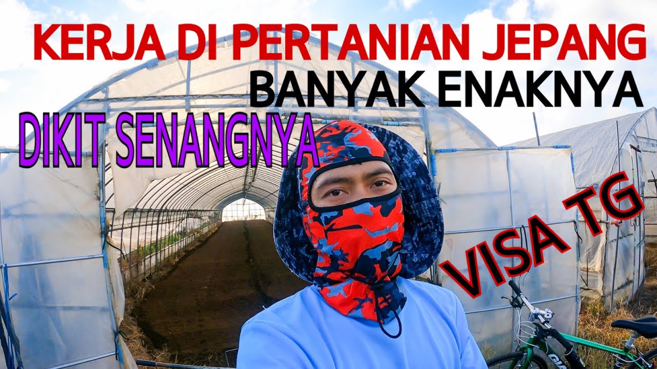 WORK ROUTINE FROM EARLY MORNING UNTIL FINISHED!! AGRICULTURAL INTERNSHIP IN JAPAN