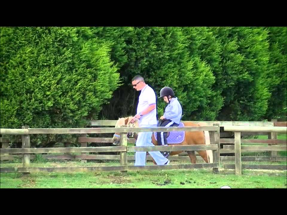 Springfields Fun Park + Pony Centre Newquay Cornwall UK COOL !!  ExploringCornwall.com