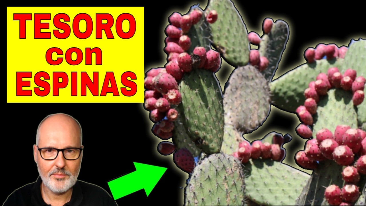 El Secreto del NOPAL 🌵 para una Vida Más Saludable