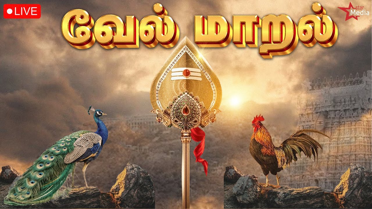 🔴 Live | செவ்வாய்க்கிழமை கேட்க வேண்டிய வேல்மாறல் மகா மந்திரம் | Murugan Songs | Star Media