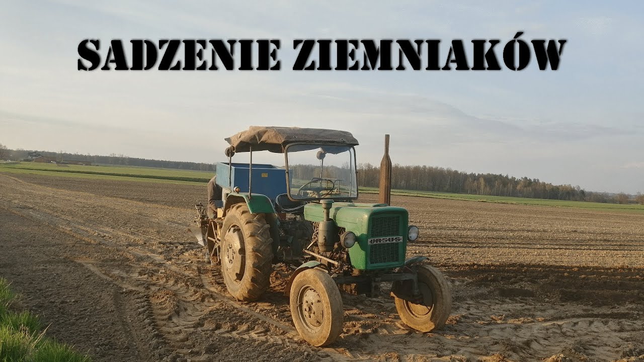 Sadzenie ziemniaków 2022 🔥 Ursus C-328 i sadzarka Solan Lublin S-228 w Akcji!