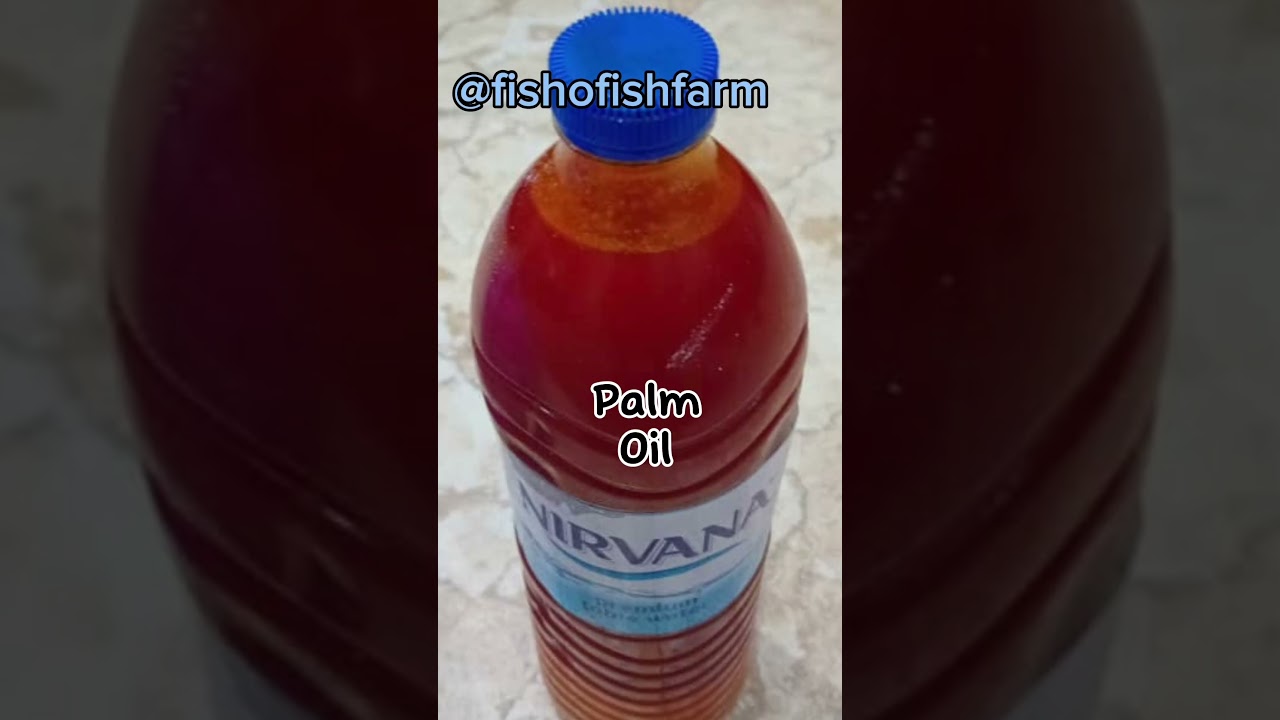 How to Make Catfish Food-2 #catfishfood #fish #palmoil