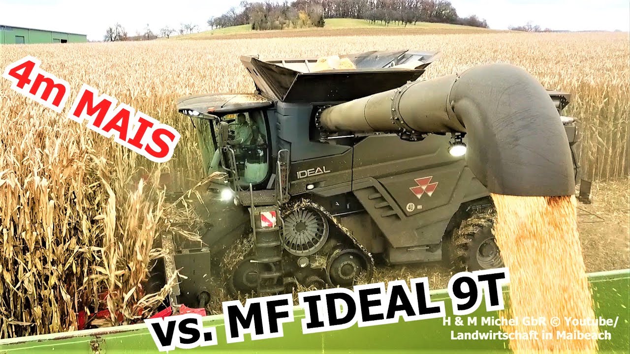 IDEAL 9T im  4 METER MAIS, geht das ?! Lohnunternehmen im Einsatz, Massey Ferguson Großmähdrescher