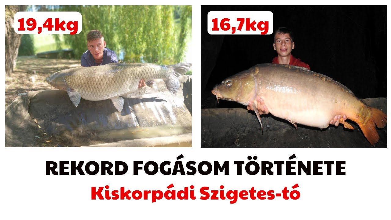 Rekord fogásom a Kiskorpádi Szigetes-tóból | Bojlis horgászat 5.rész