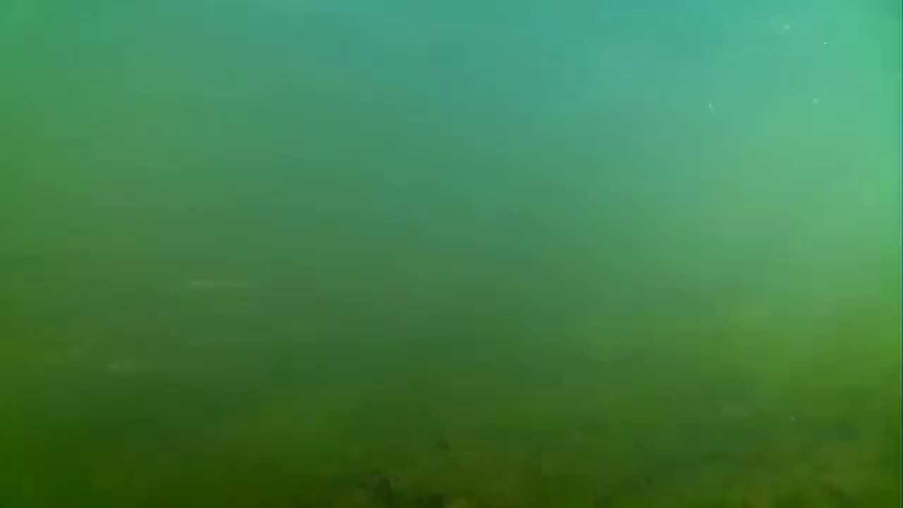 Kanaal Gent-Terneuzen onder water | underwater