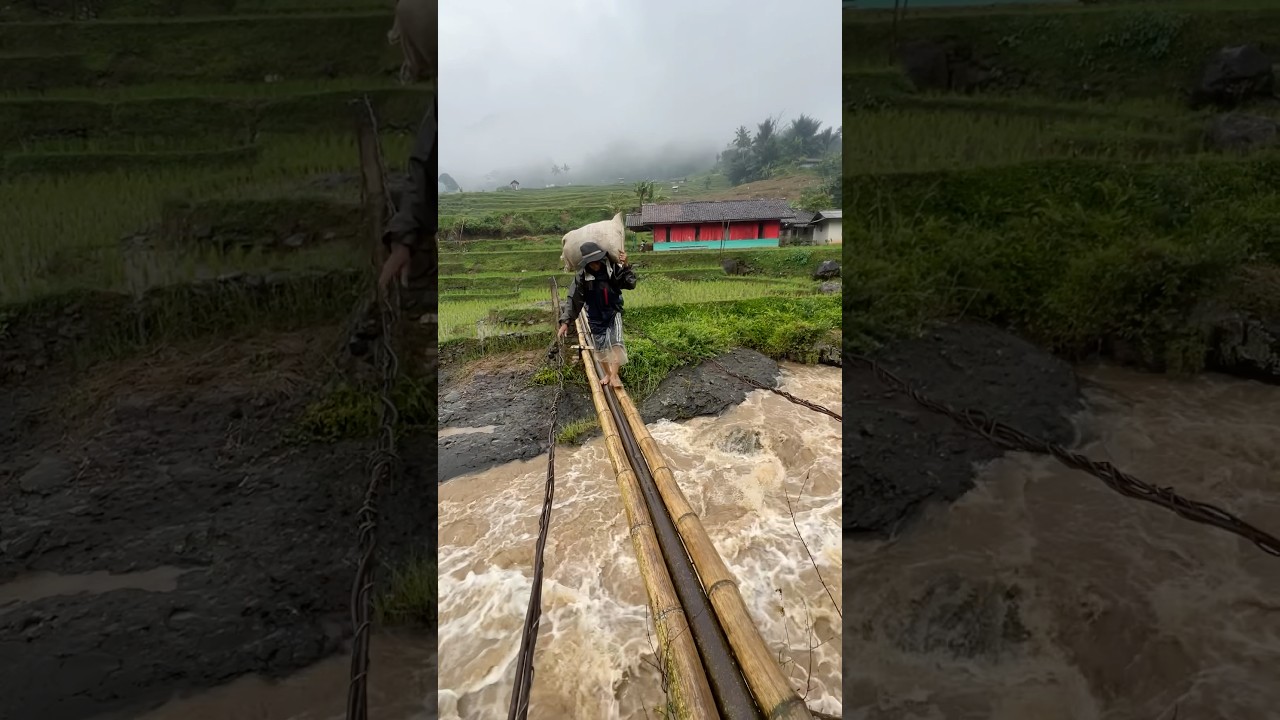 Ngeri Banget Bikin Degdegan Jalan Di Jembatan Bambu Air Sungai Meluap Saat Hujan #hujan #shorts #fyp
