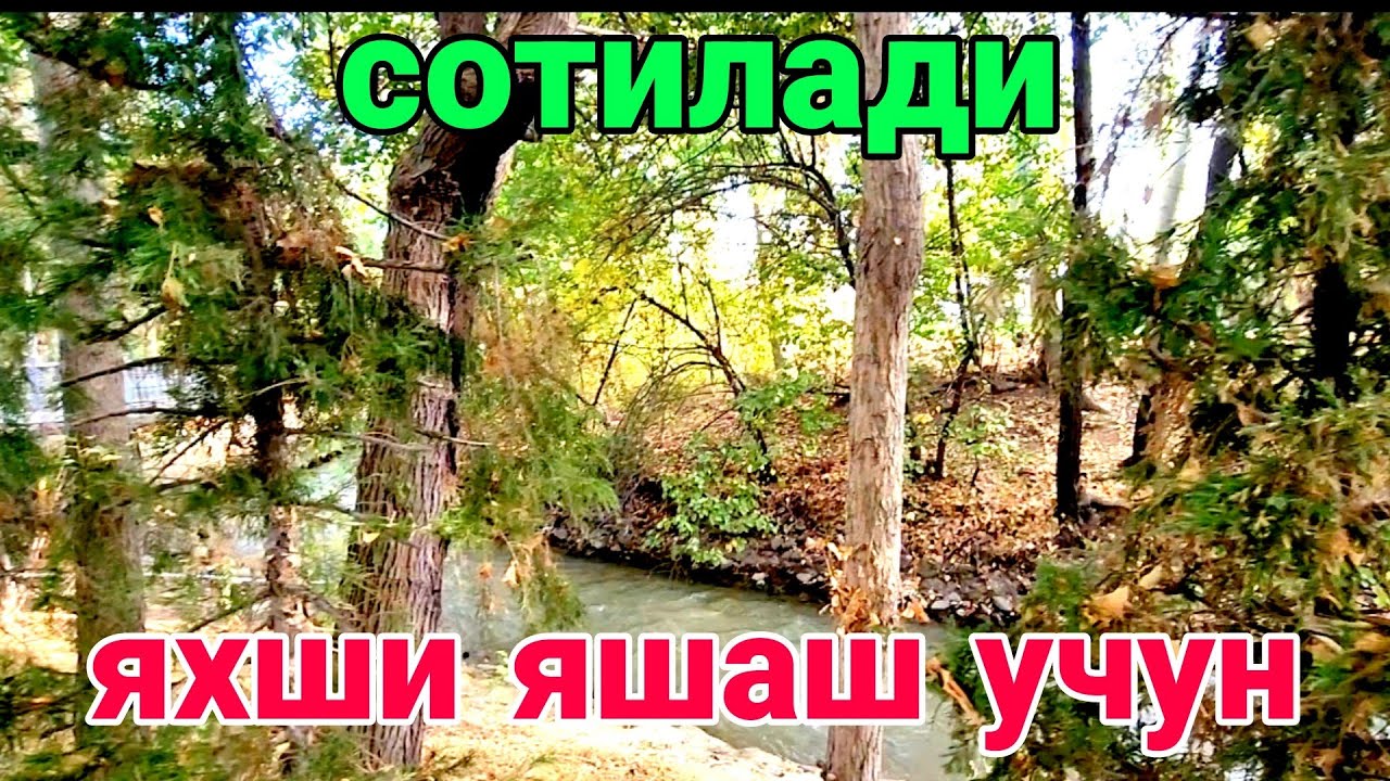 КАШКАДАРЕО Тезда сотилади шошилинг зур жой