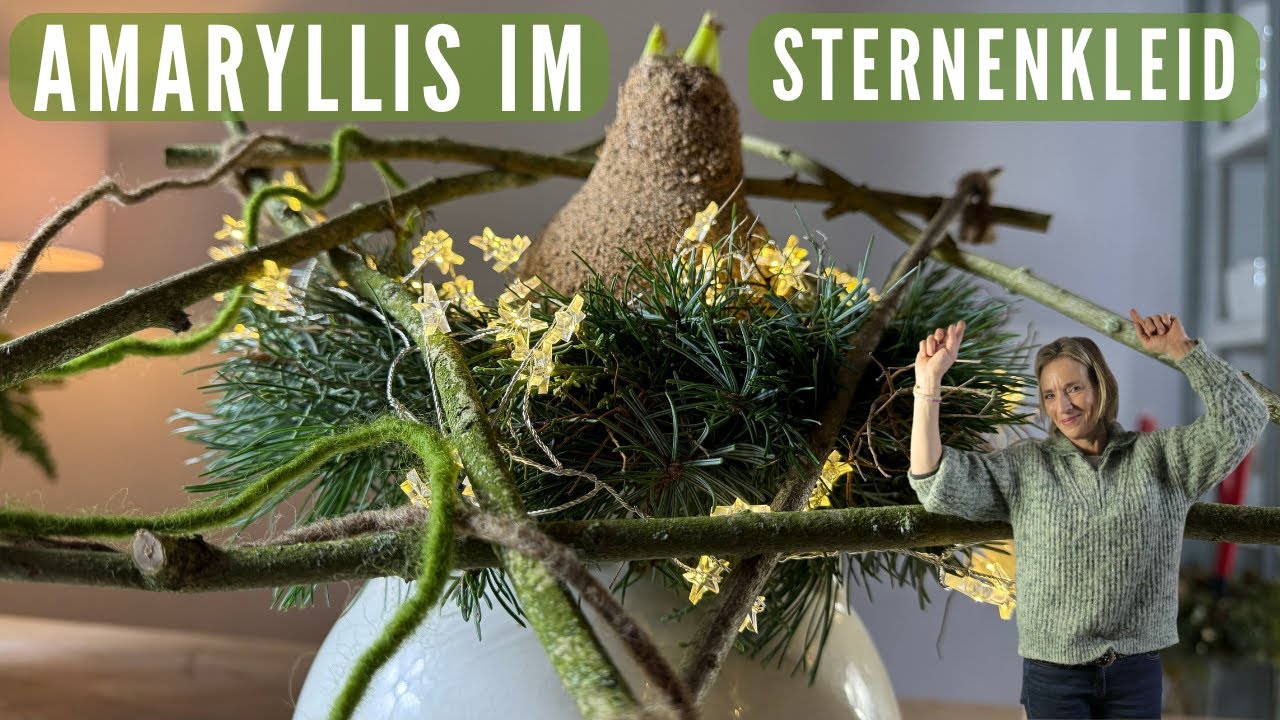 DIY Naturstern & Amaryllis im Sternenkleid 🌲 blühende Adventsdeko im Keramiktopf 🌲