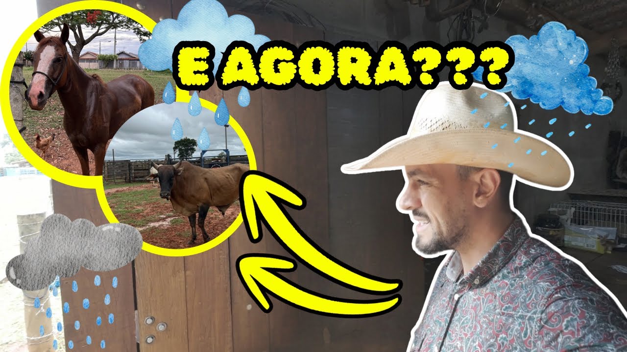 MUITA CHUVA AQUI NO RECANTO BRAGA #vidarústica