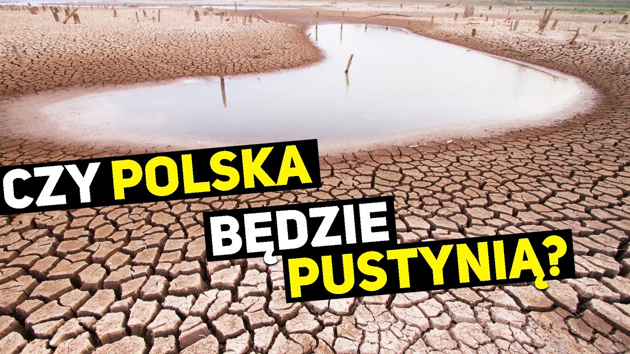 Czemu W POLSCE jest SUSZA 🏜️