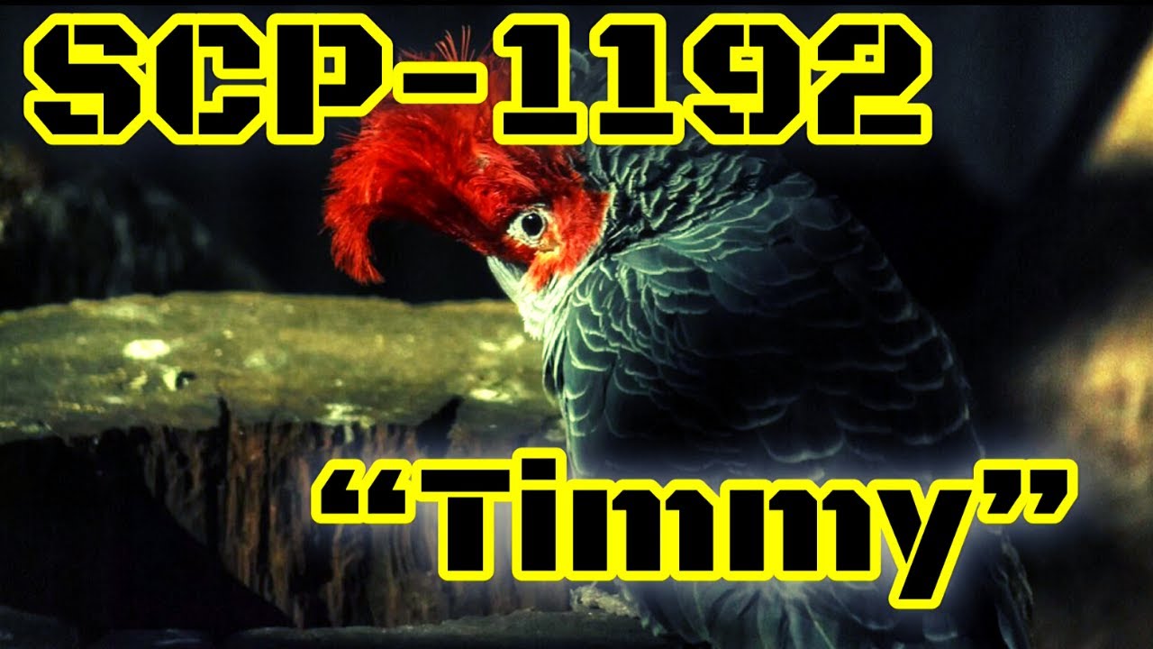 SCP基金會 SCP-1192 Timmy (中文)