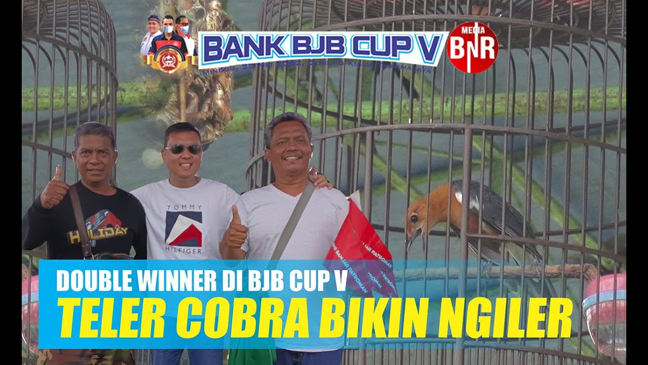 COBRA MR. ALVIN DOUBLE WINNER DI BJB CUP V
