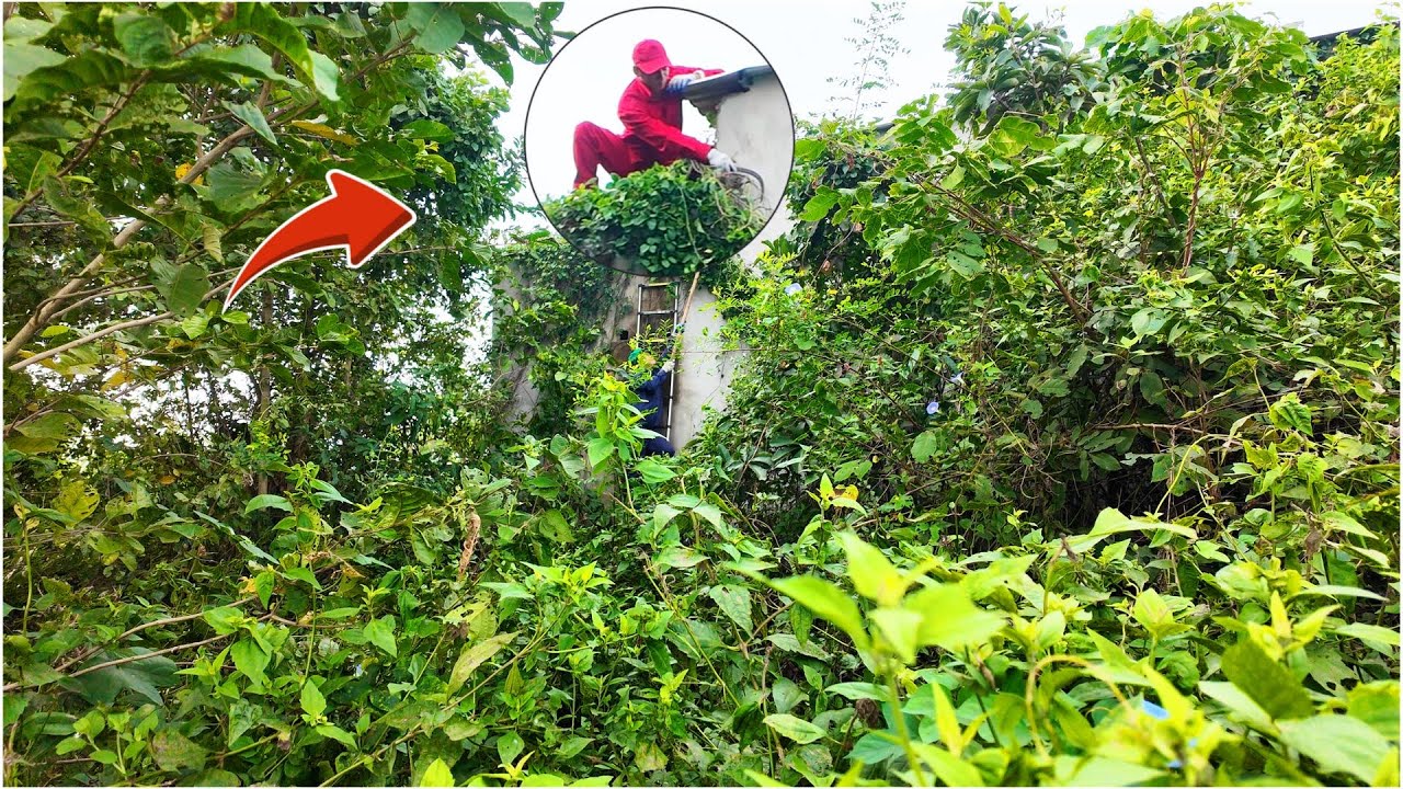 Get $10 to help a SINGLE MOTHER clean up an abandoned haunted house, the SHOCKING truth