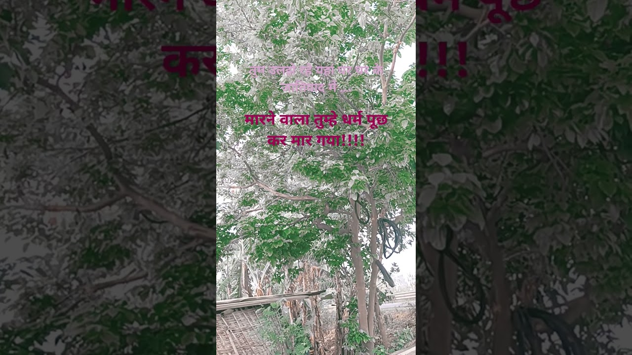 #song #hindisong #love #terror #jammu #kashmir #pahalgam #india #hindu #sad #heart #broken #dhokha