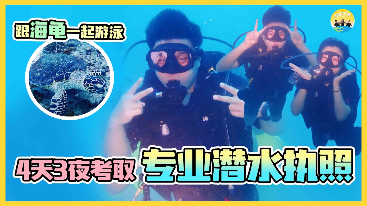 4天3夜就能拥有【专业潜水license】！在马来西亚刁曼岛与海龟一起水中游
