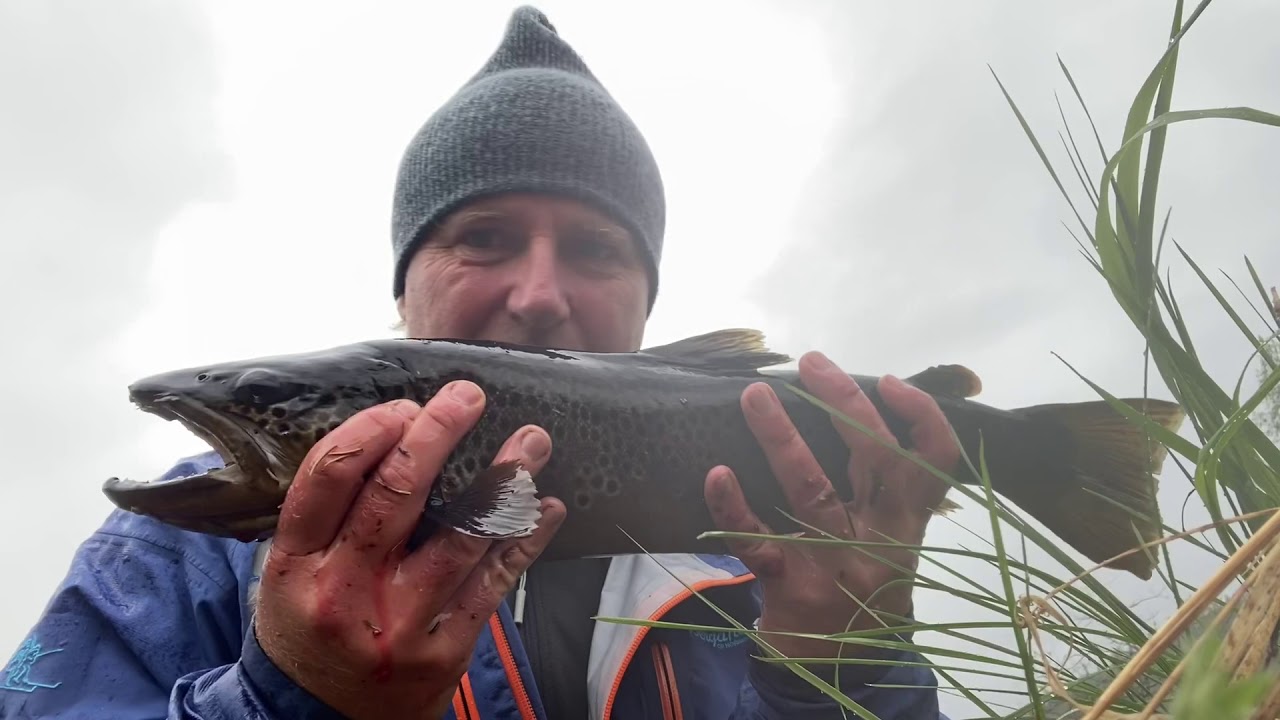 Fisketur til Engerdal