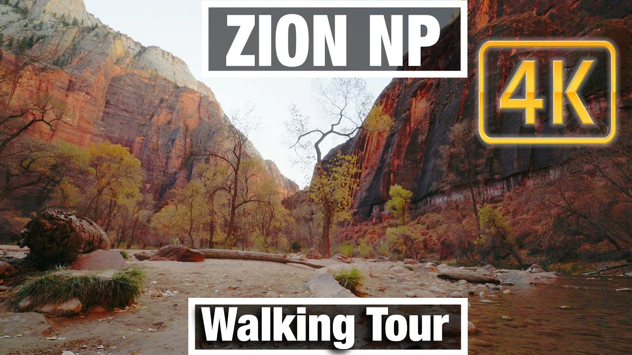 4K City Walks: Zion NP Utah Riverside Walk Trail - Virtual Walk Walking Treadmill Video free tour