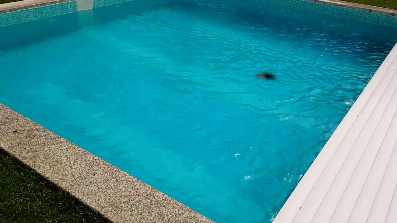 Cobertura de piscina automática