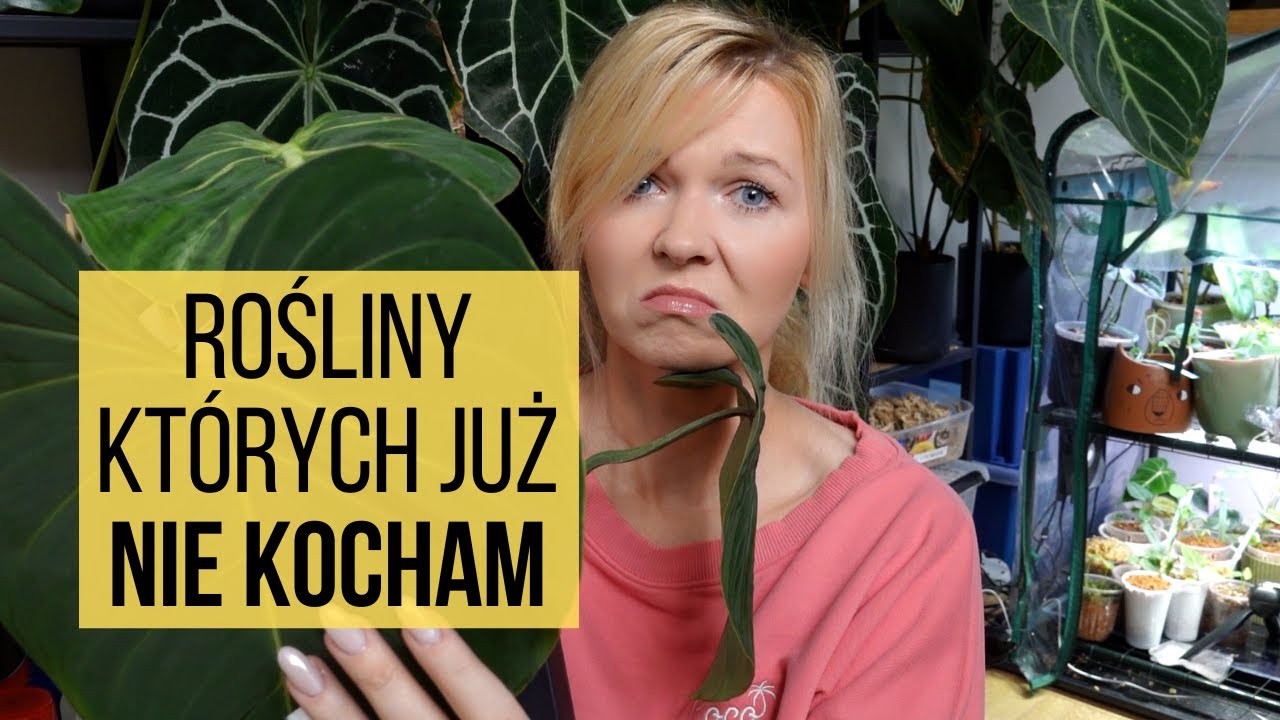 Roślinne rozczarowania, czyli rośliny, których chcę się pozbyć lub wyrzucić na śmietnik!