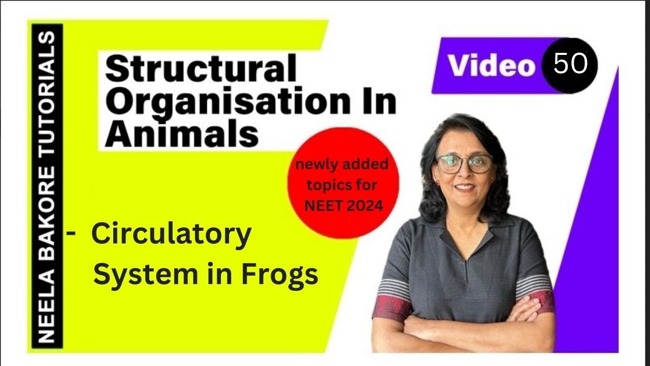 Circulatory System in Frogs | NEET 2024 | Neela Bakore Tutorials