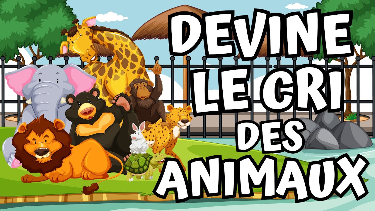 Pause Active (APQ): Devine le cri des animaux // Brain Break (DPA): Guess the animal sounds