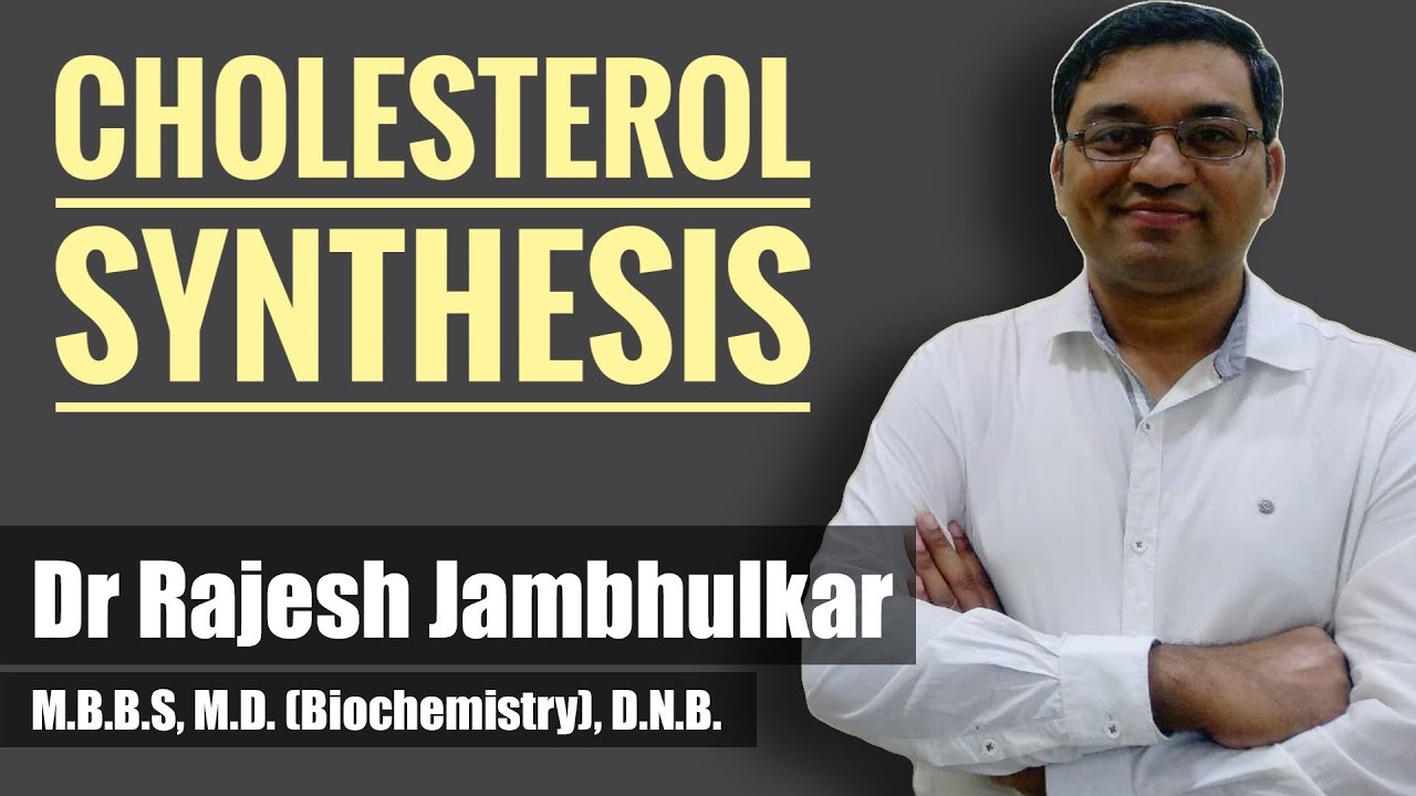 6  Cholesterol metabolism- Synthesis of Cholesterol