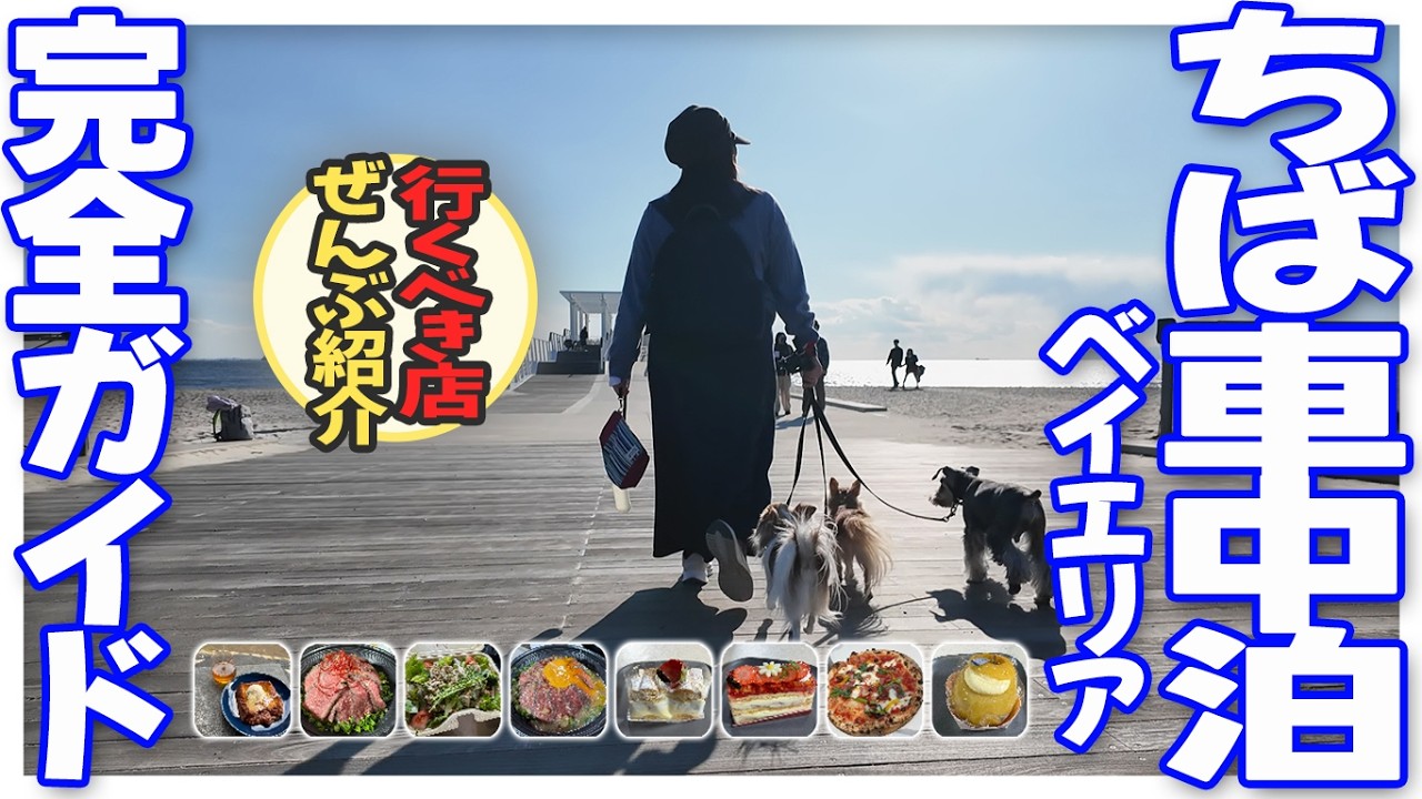 千葉ベイエリア2泊3日・完全版！愛犬と巡る道の駅・アウトレット・絶品グルメ＆海辺のカフェ至福の車中泊旅【総集編】