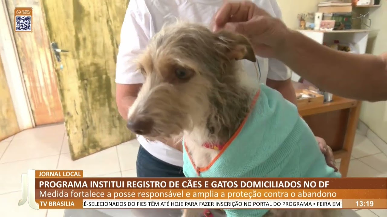 JL - Programa institui registro de cães e gatos domiciliados no DF