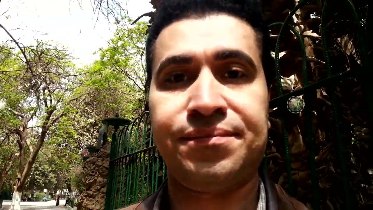 البط واللوز فى حديقة الحيوانات فى الجيزة فى مصر