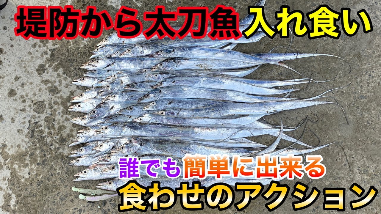 【タチウオ】釣れるワームで釣れるアクション付けたら釣れすぎた
