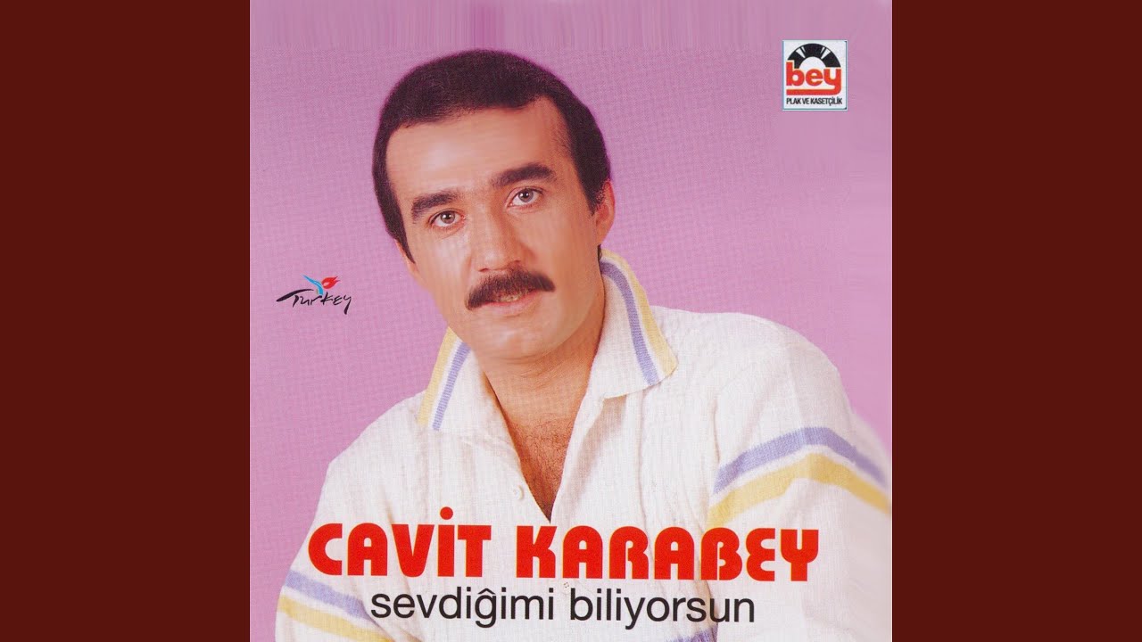 Çaresiz Dolaştım