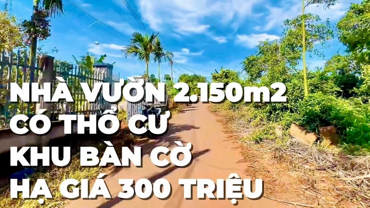 Định Cư Ở Nước Ngoài Cần Bán Gấp Nhà Vườn 2.150m2 Ở Bà Rịa Vũng Tàu