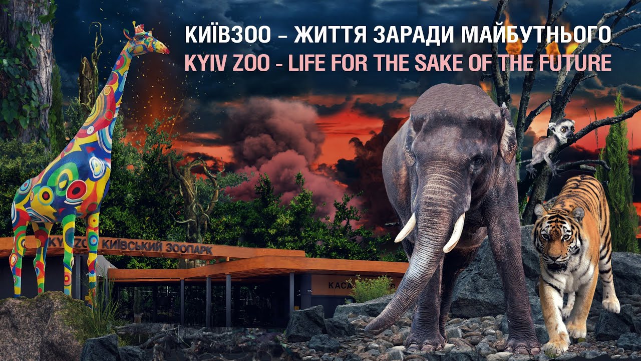 Доброго дня, ми з Зоопарку / Hello, we are from the Zoo