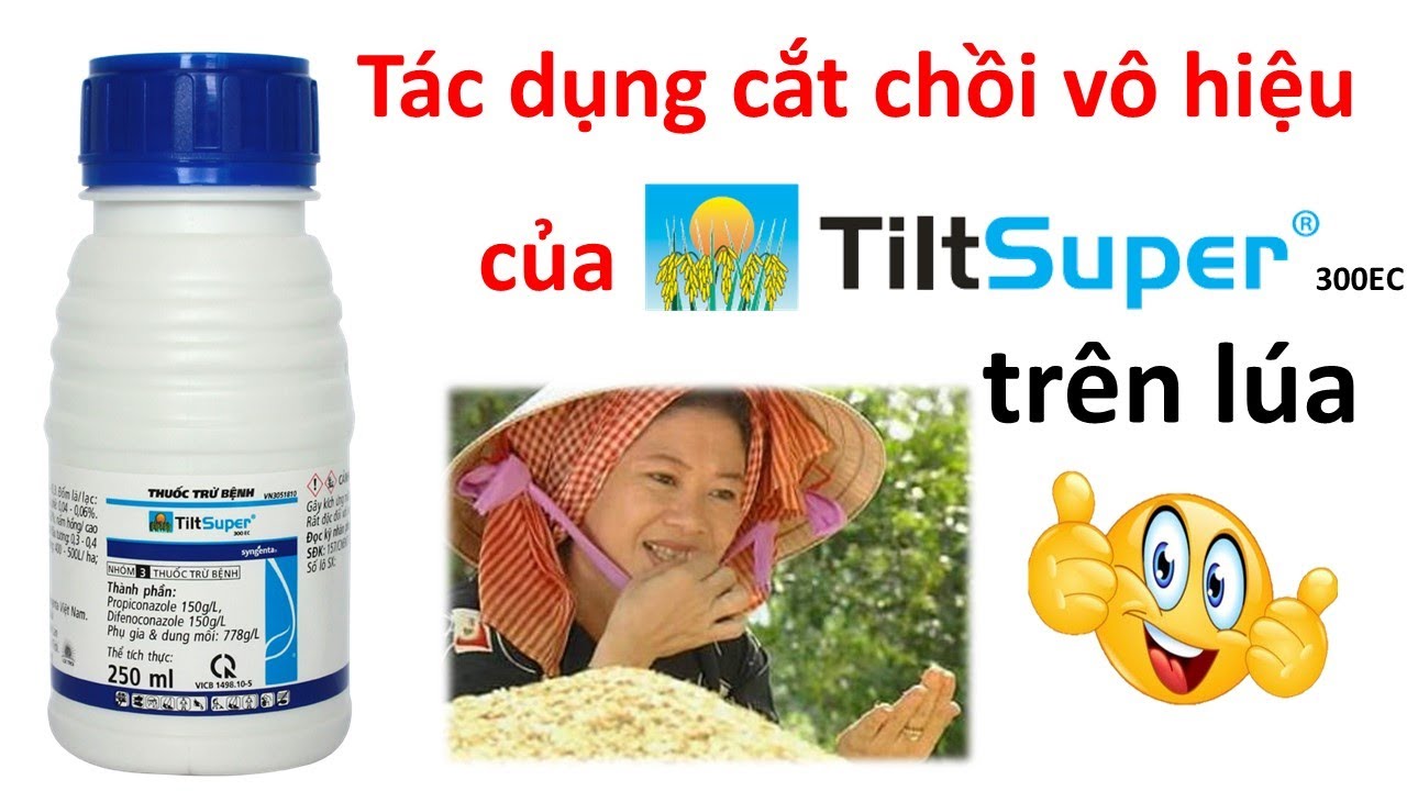 Bạn có biết hết công năng Tilt Super mang lại cho cây lúa chưa? | Syngenta | thuốc trừ bệnh