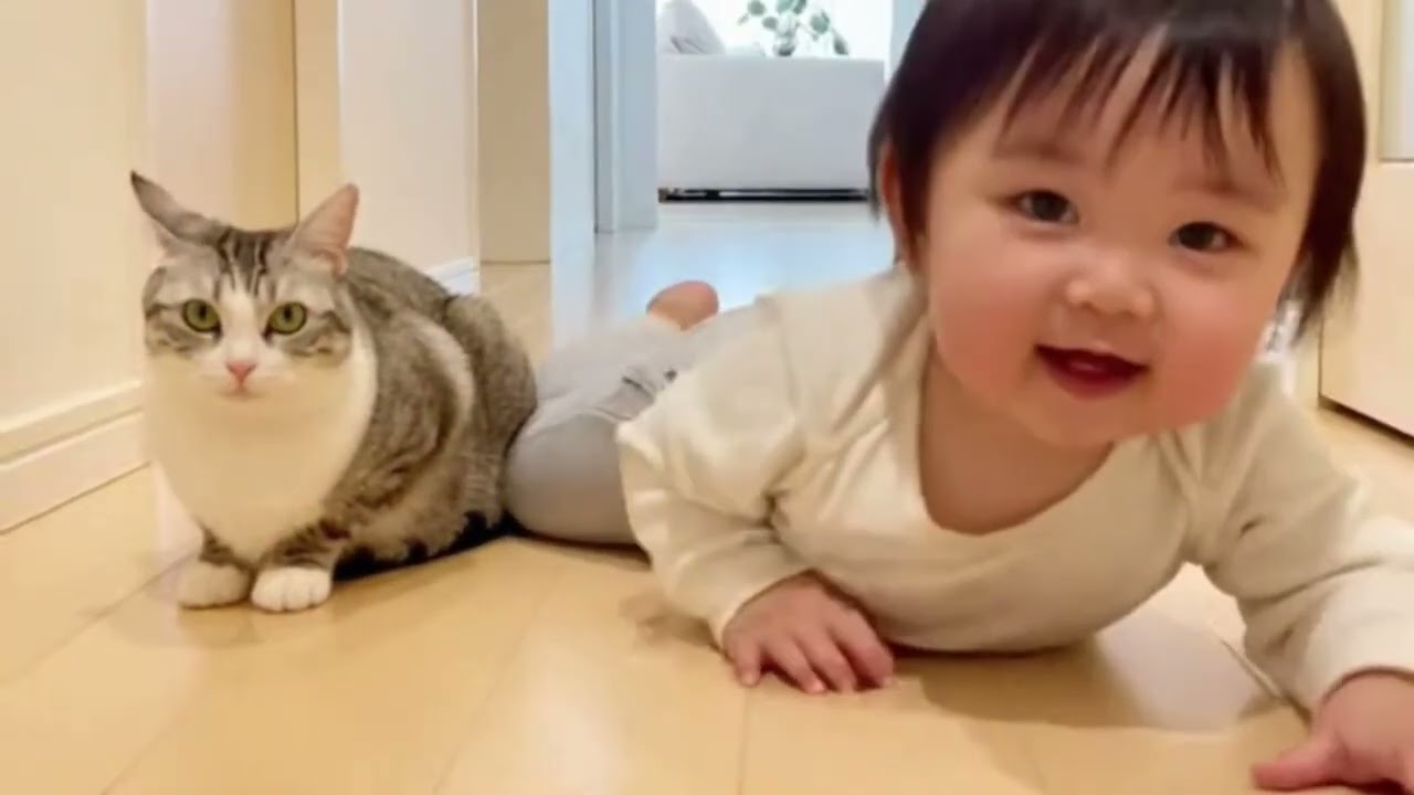 呼びかけるたびに猫が反応…返事が可愛すぎる